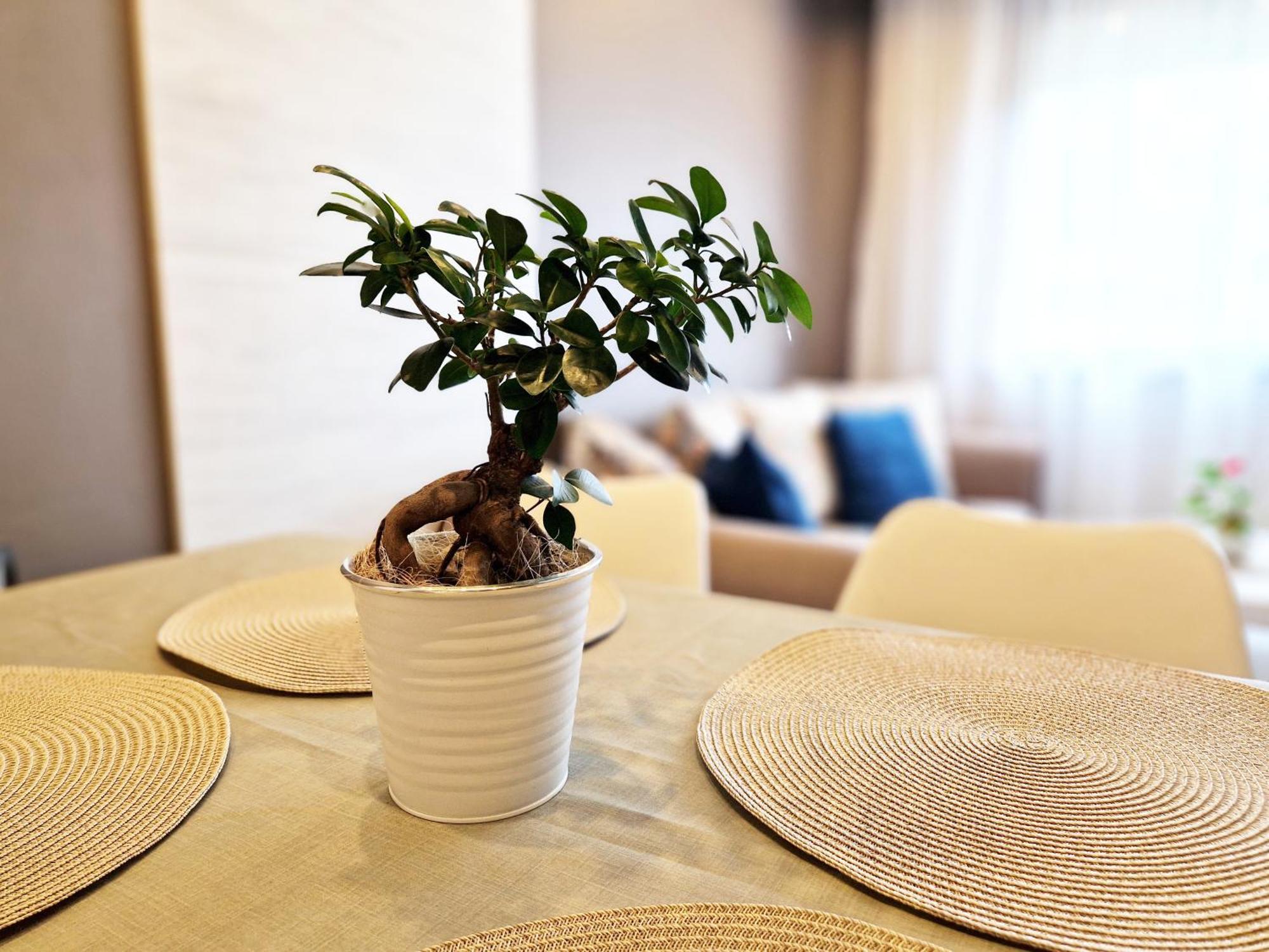 Central Apartment - Spacious Designer Property In Stara Sagora Exterior foto